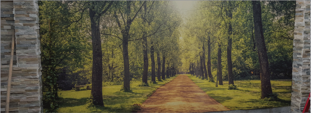 Completed layout visual asset